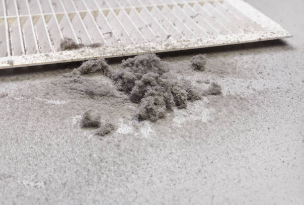 Home Air Vent Cleaning in Lake Morton Berrydale, WA