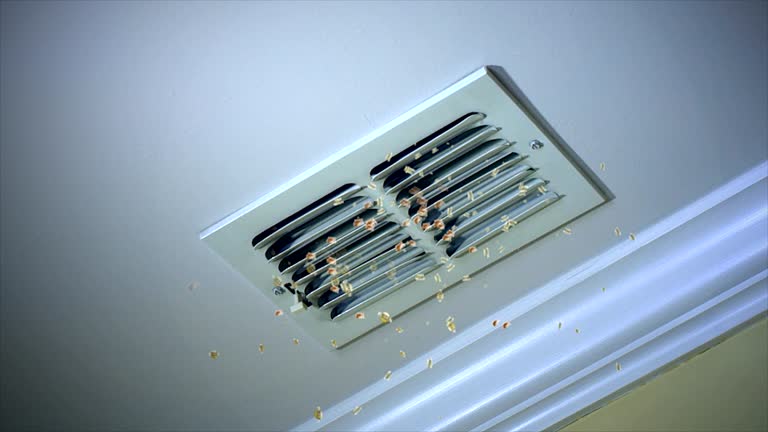 Best HVAC System Cleaning  in Lake Morton Berrydale, WA